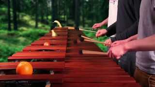 Hyrule Field Theme tocado en Marimba